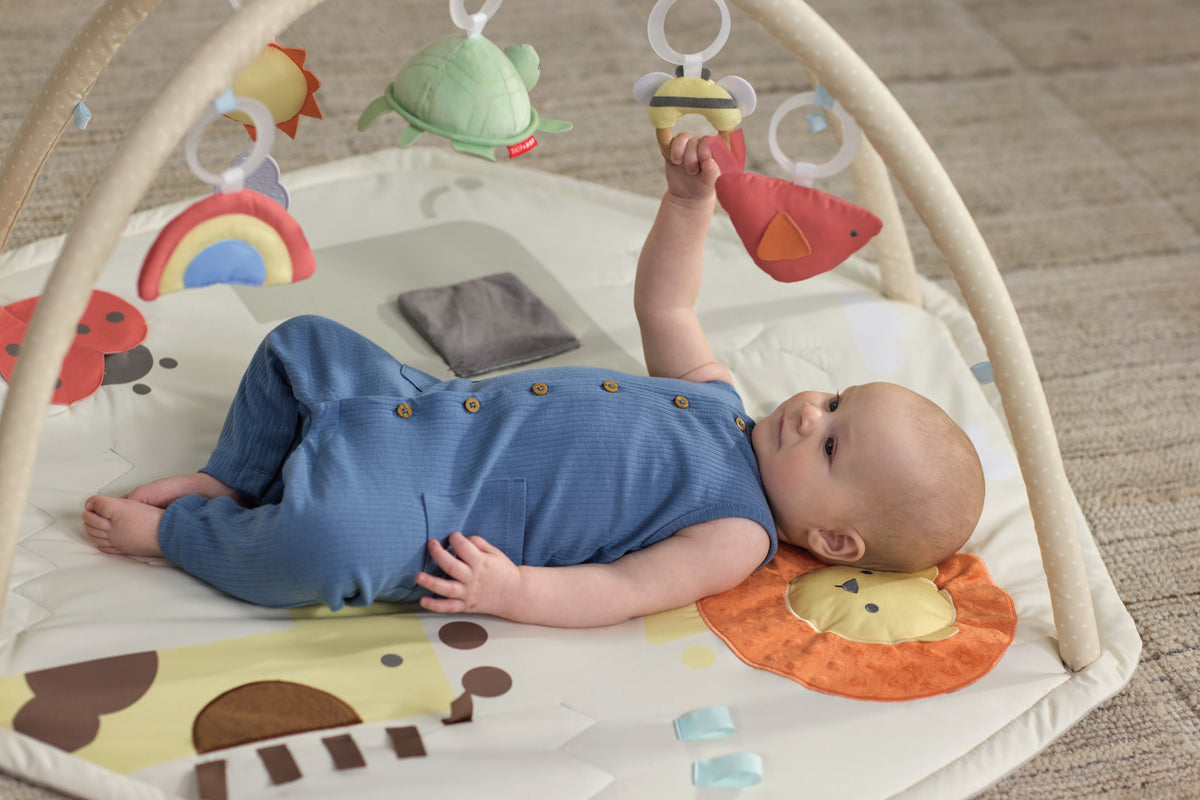 Geometric Wonders Activity Gym