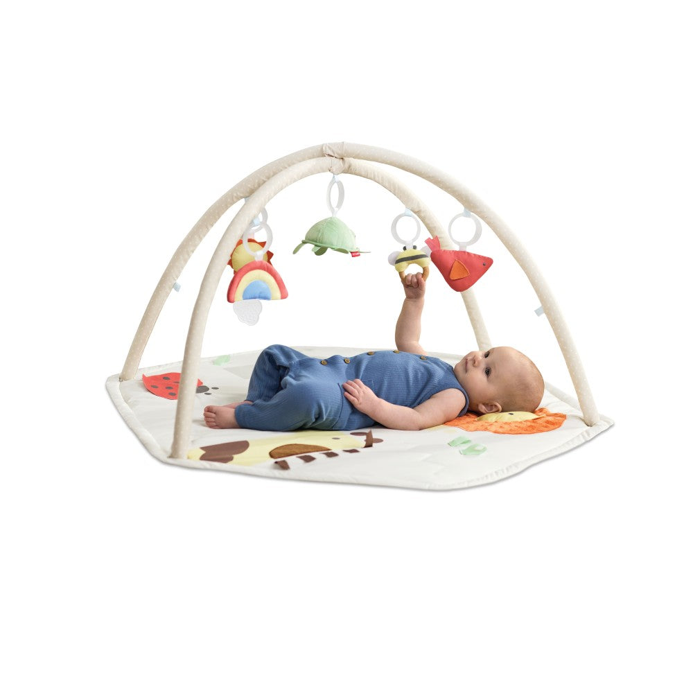 Geometric Wonders Activity Gym