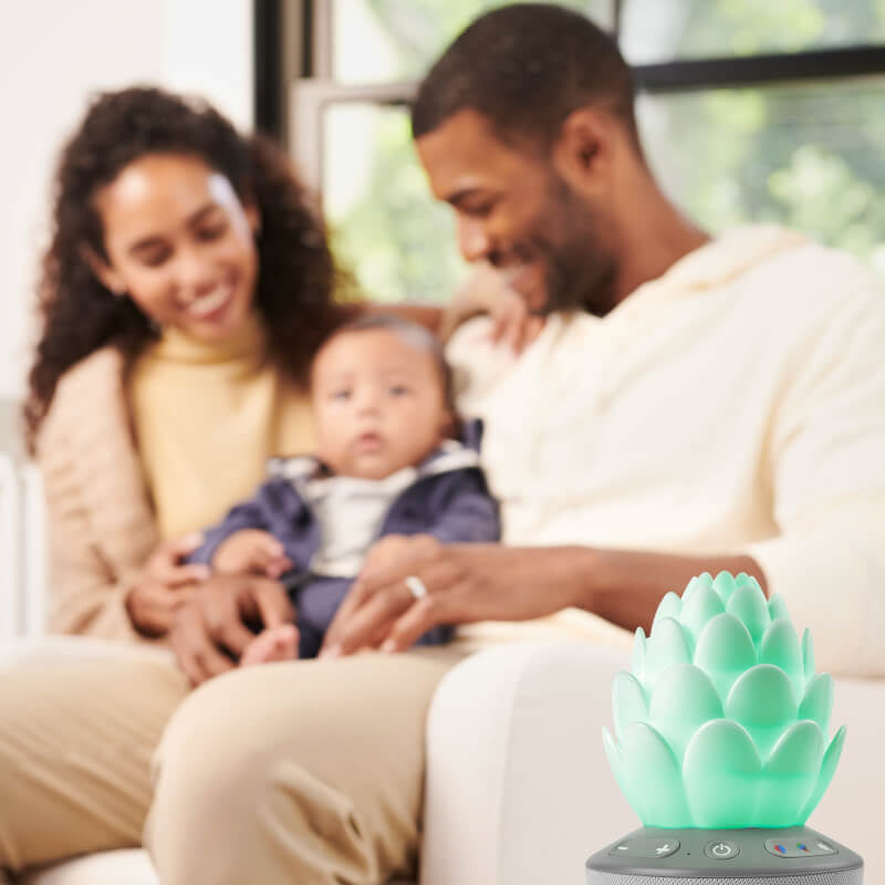 Terra Cry-Activated Soother