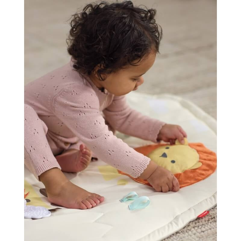 Skip Hop Geometric Wonders Activity Gym