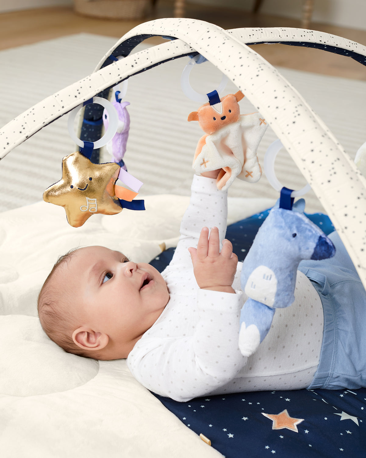 Celestial Dreams Activity Gym