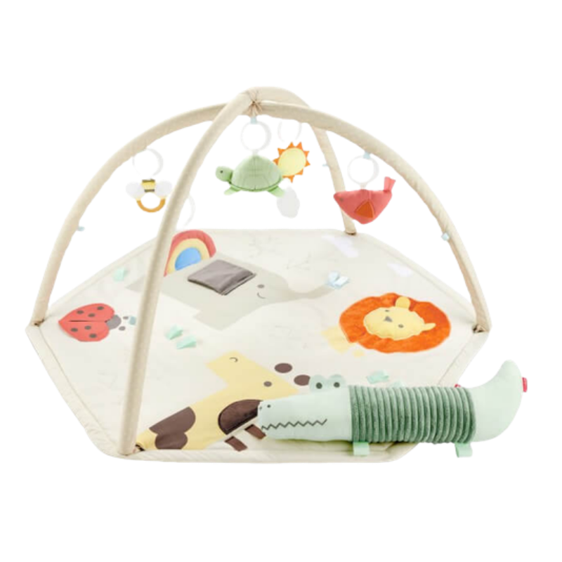 Geometric Wonders Activity Gym