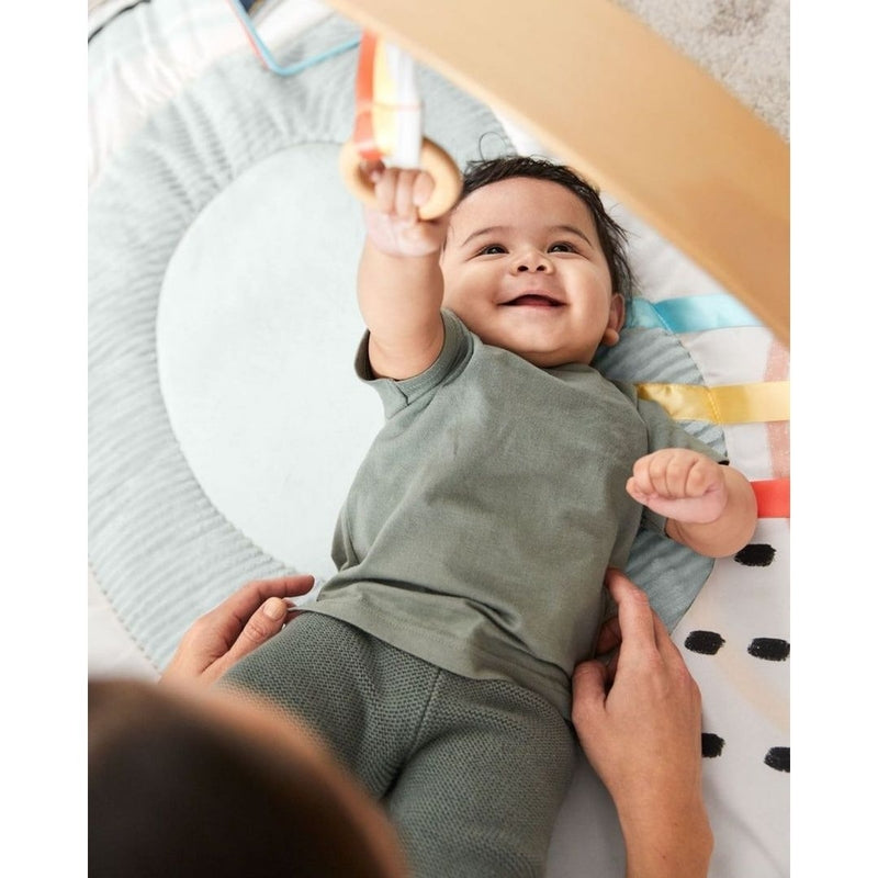 Skip Hop Montessori Discoverosity Deluxe Activity Gym