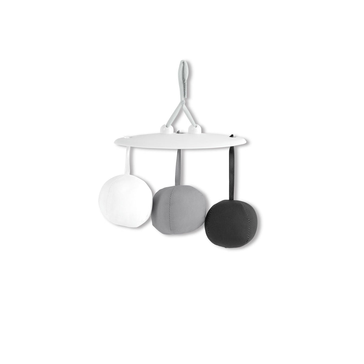 Discoverosity Activity Gym