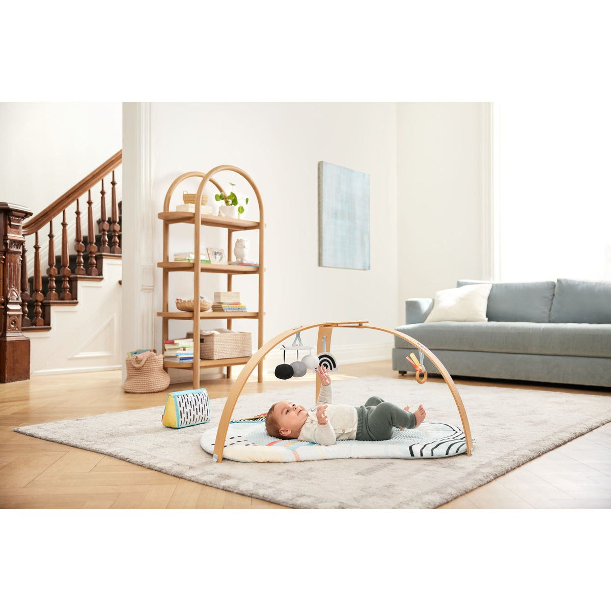 Discoverosity Activity Gym