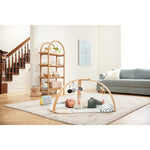 Discoverosity Activity Gym