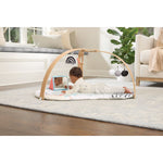 Discoverosity Activity Gym