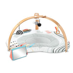 Discoverosity Activity Gym