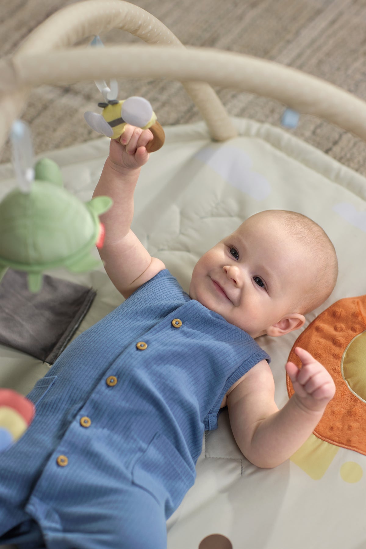 Geometric Wonders Activity Gym