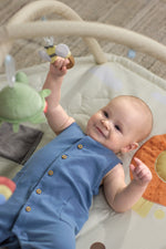Geometric Wonders Activity Gym