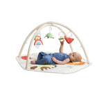 Geometric Wonders Activity Gym