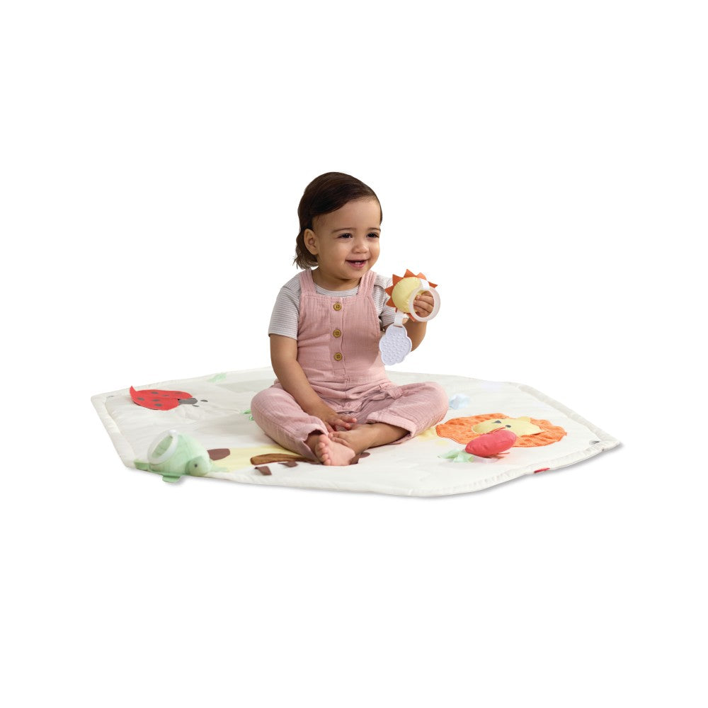 Geometric Wonders Activity Gym
