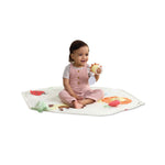 Geometric Wonders Activity Gym