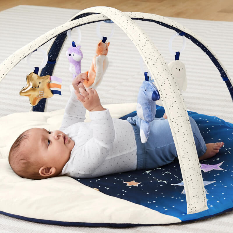 Celestial Dreams Activity Gym