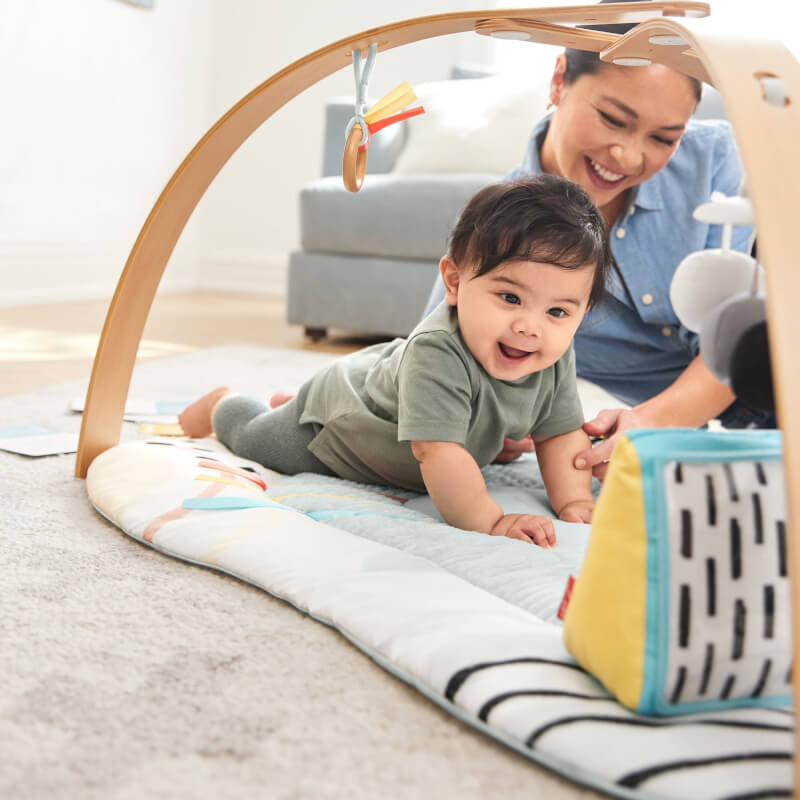 Skip Hop Montessori Discoverosity Deluxe Activity Gym