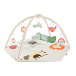 Geometric Wonders Activity Gym