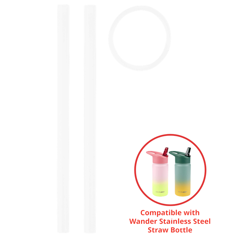 Wander Stainless Steel Water Bottle Extra Straws 2-Pack